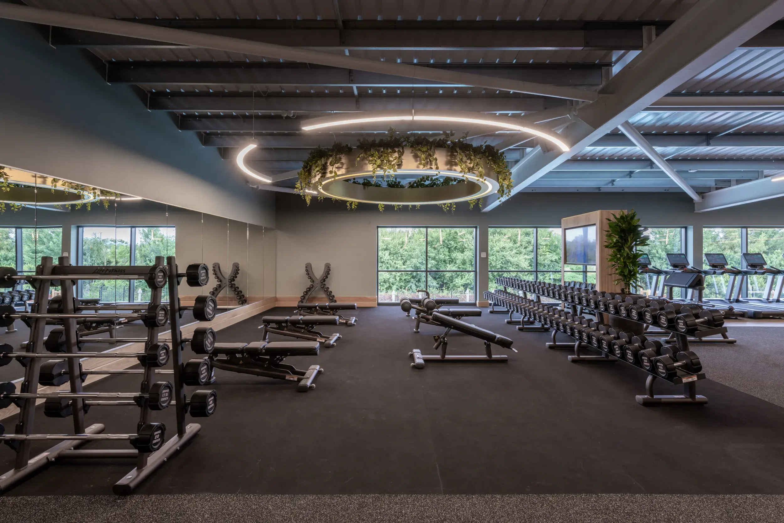 Free weights area in the gym at David Lloyd Colliers Wood
