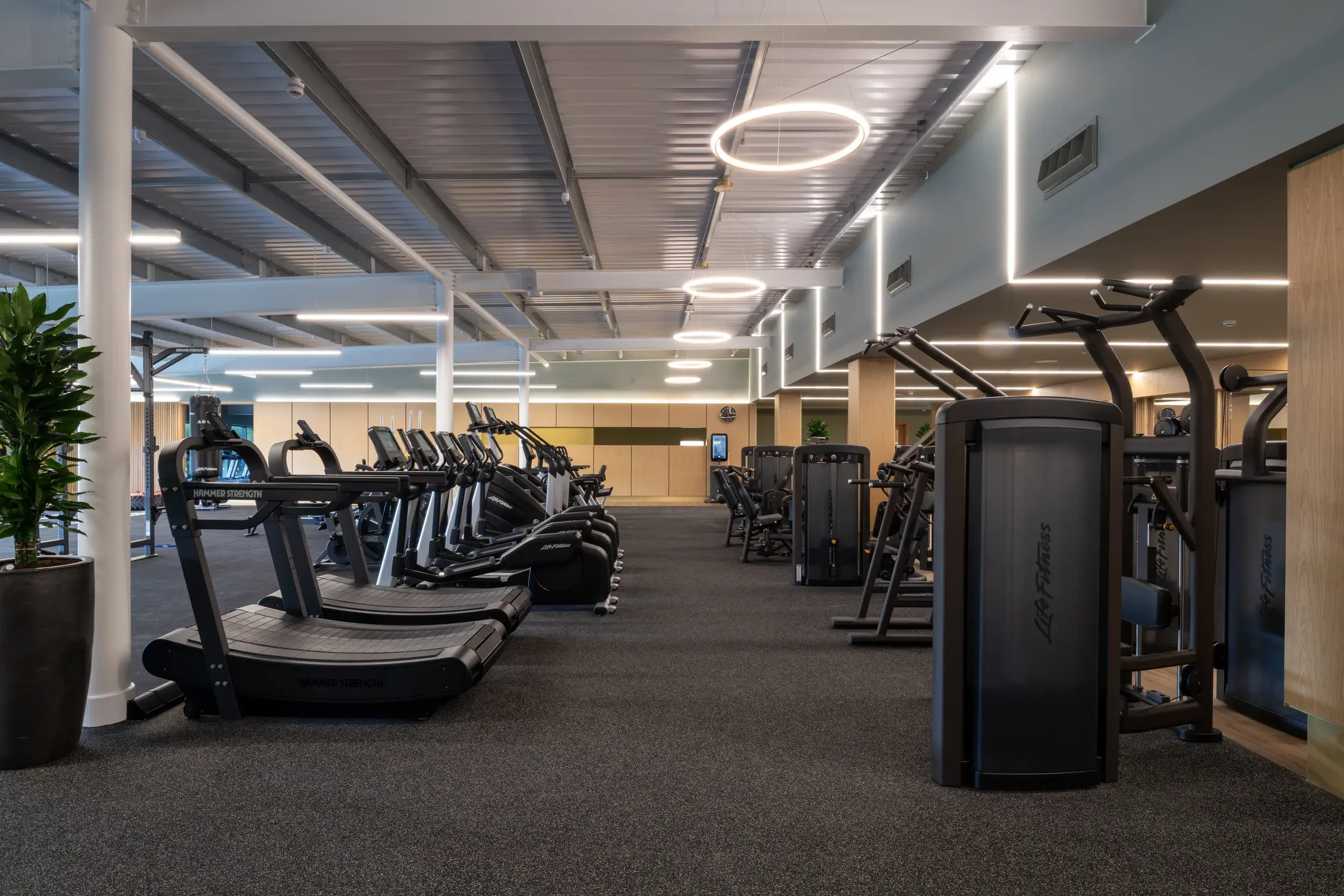 Gym at David Lloyd Colliers Wood