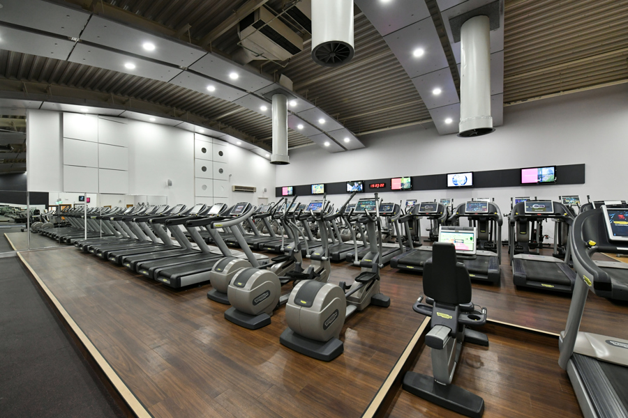 Dips tricep Swansea Gym & Personal Trainers | David Lloyd Clubs